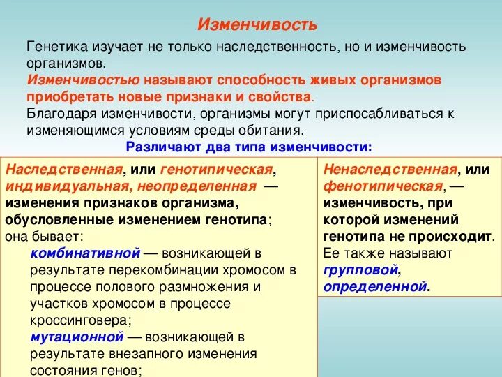 Презентация наследственная изменчивость 10 класс