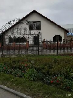 Регата барнаул