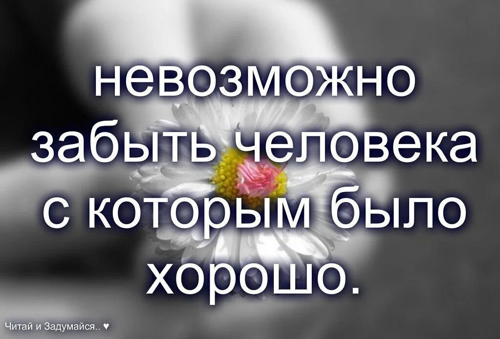 Ты меня уважаешь мем. В жизни обязательно должны быть паузы такие. Забыть тогда. Про тебя забыли цитаты. Забыть тогда.