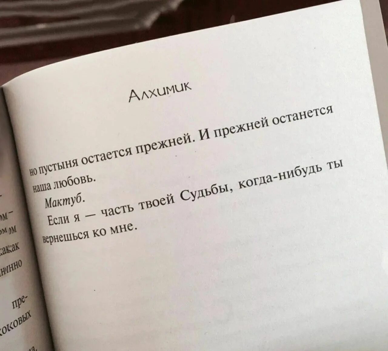 Она цитаты из книг. Цитаты из книг. Фразы из книг. Высказывания из книг. Интересные фразы из книг.