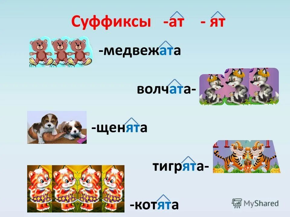 Тигрица какой суффикс. Суффиксы ат ят. слова с суффиксом ат существительные. медвежонок суффикс. суффикс в слове медвежонок.