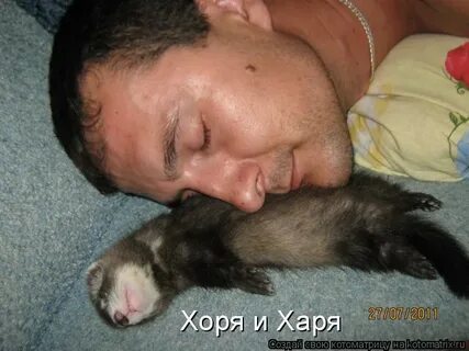 Напилась я наебенилась