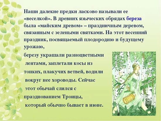 Березовый предложение
