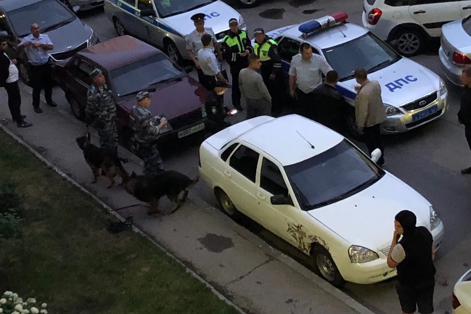 могила огородникова тольятти. тольяттинская криминальная война. криминалитет тольятти. криминальный тольятти. убийство ильи тягуна в тольятти.