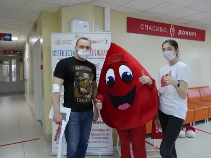 День донора на вднх 2024