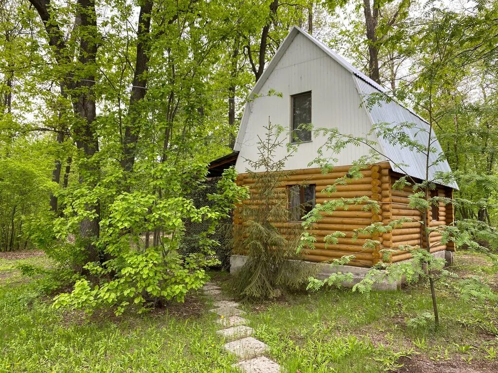 Турбазы на волге. Максвелл турбаза энгельс. Турбаза волга саратов иванов. Центральный пляж ульяновск турбаза волга. Турбаза сосёнки на волге самара.