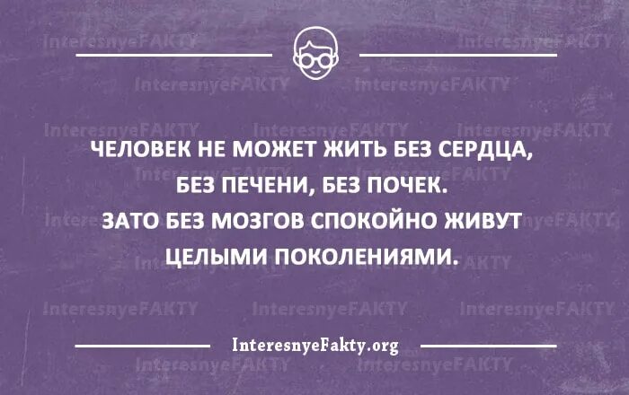 Сложно жить без мозгов. Некоторые люди живут без мозгов цитаты. Без мозгов цитаты.