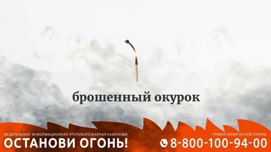 800 100 94 00. 1450. Прямая линия лесной охраны. 800 100 94 00. 800 100 94 00.