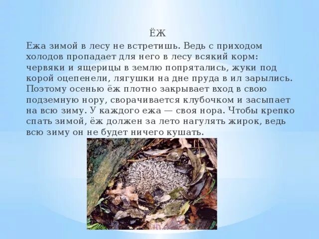 Пропавший холодов