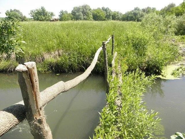 Погода в старой ведуге семилукского. Ведуга Воронежская область. Старая Ведуга. Старая Ведуга Семилукский район. Старая Ведуга Воронежская область.