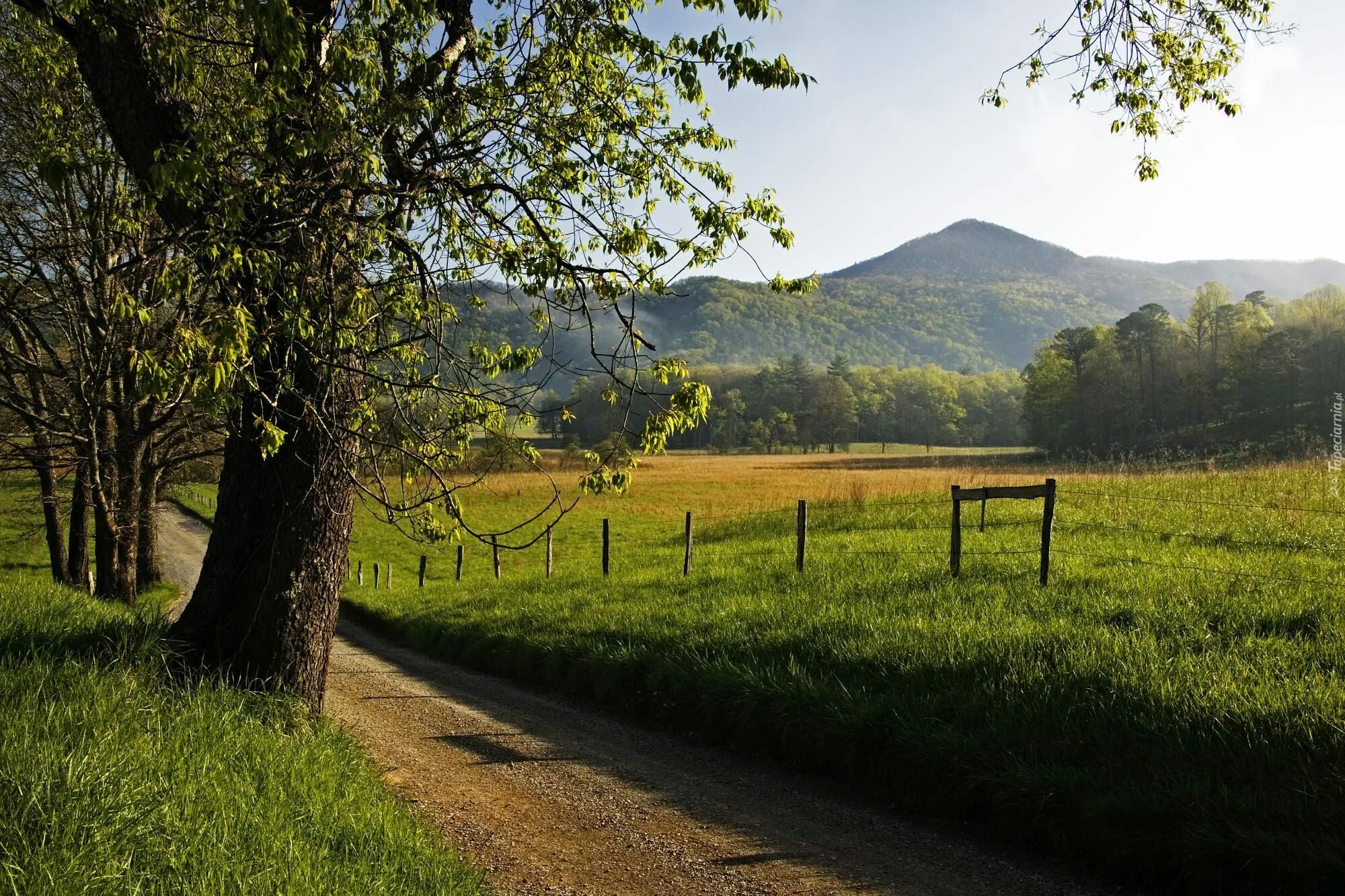 Countryside walks. Штат Теннесси природа. Штат Теннесси деревни. Штат Теннесси горы. Штат Теннесси природа в Теннесси.