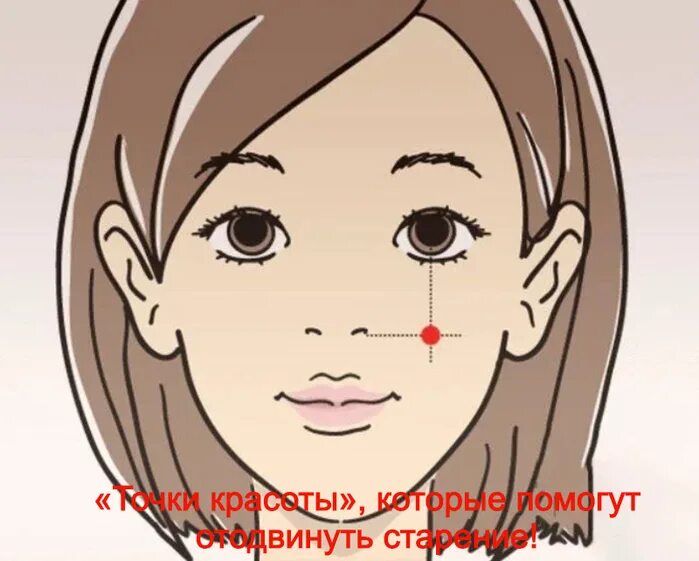 Лицо три точки. Точки на лице для омоложения. точки красоты на лице. точки на лице под скулами. точка st 3 («красота лица».