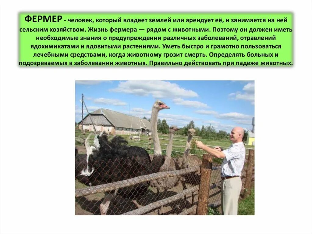 Фермер характеристика. Качества фермера. Проект на тему сельхоз работы. Фермер характеристика. Что умеет фермер.