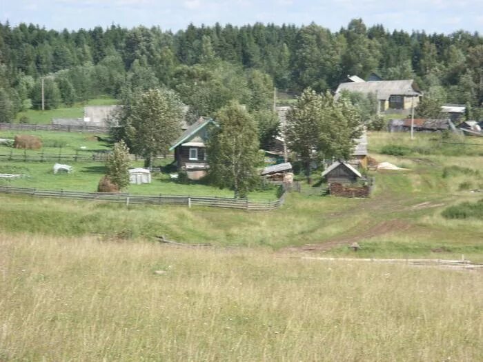 Погода зеленцово никольского вологодской. Зеленцово Вологодская область Никольский район. Нигино Никольский район Вологодская область. Деревня Зеленцово Никольского района Вологодской области. Д Люльково Никольский район Вологодская область.