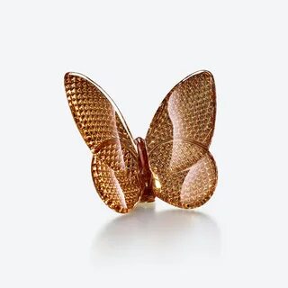 Papillon бабочка