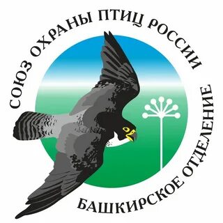 Союз охрана