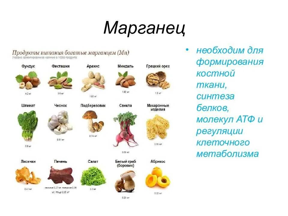 В каких продуктах содержится марганец таблица Минералы. Марганец. Еда и Здоровье. Нутрициология для каждого Дзен