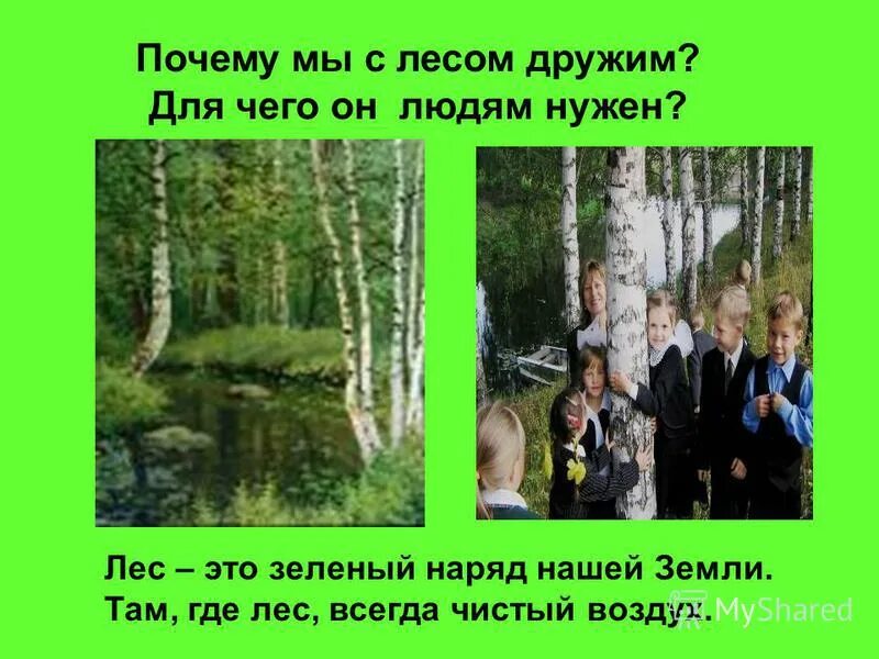 эко уроки для дошкольников лес. зачем нужен лес. с лесом надо дружить чужаков. с лесом надо дружить лес открывается только своим друзьям. для чего нужен лес человеку.