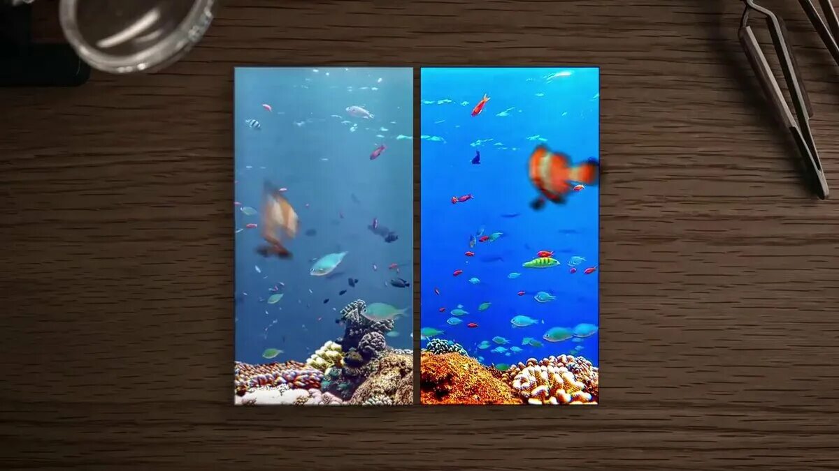 Oled и amoled. Олед экран и ips. super ips дисплей. amoled-2x-45w.