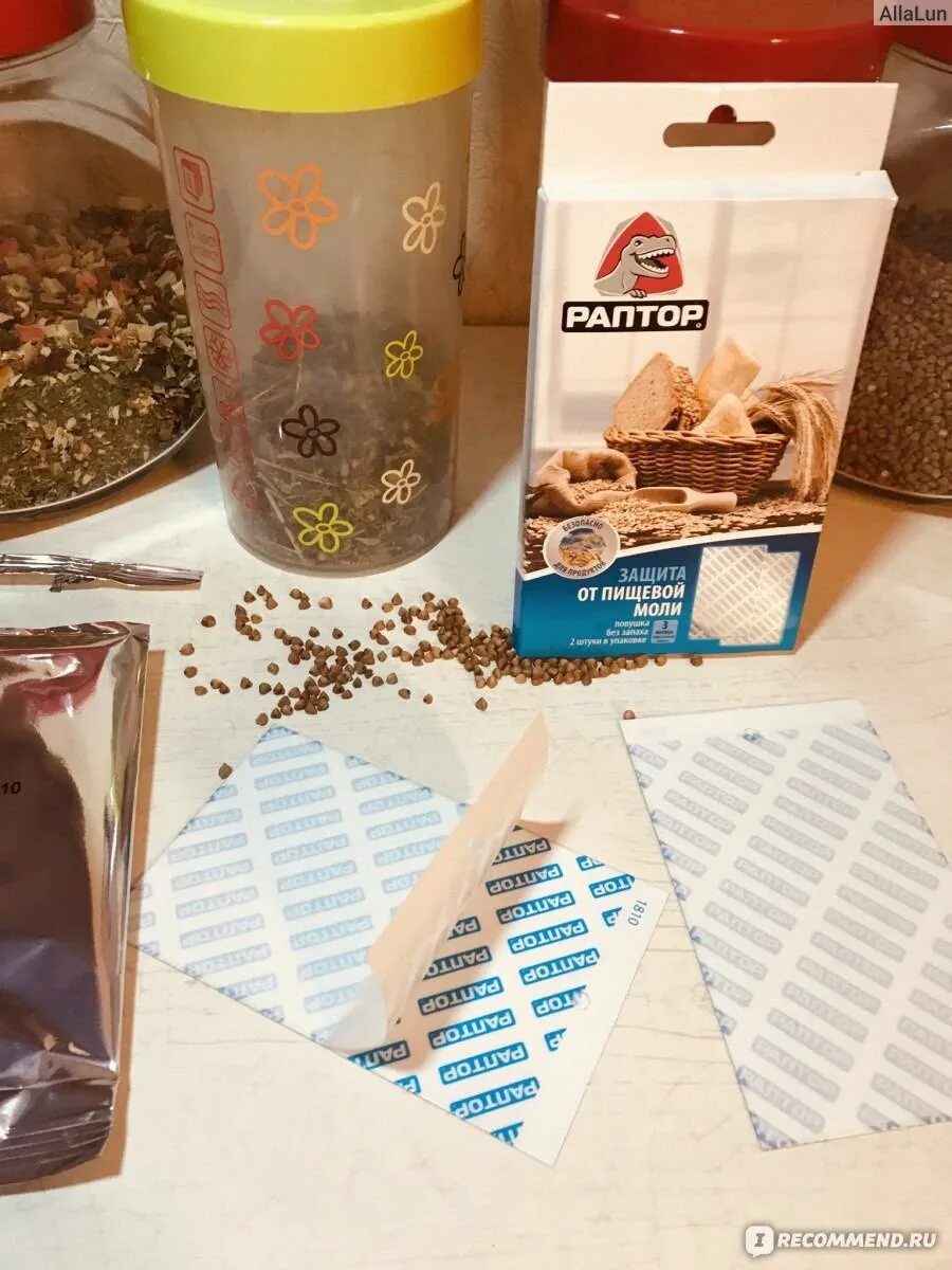 Средство от жучков на кухне. Ловушка от пищевой моли раптор. раптор ловушка от пищевой моли 7 мл. средства от пищевых жучков на кухне. ловушки от пищевых жучков.