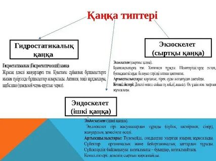 Жігіттер сиқырларымен ойнап жүр