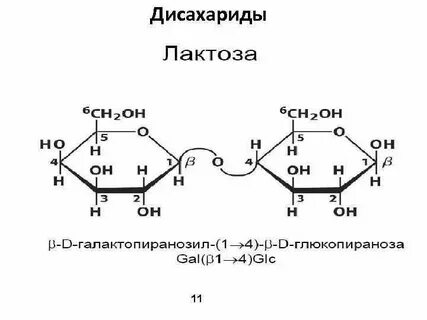 Химические свойства лактозы