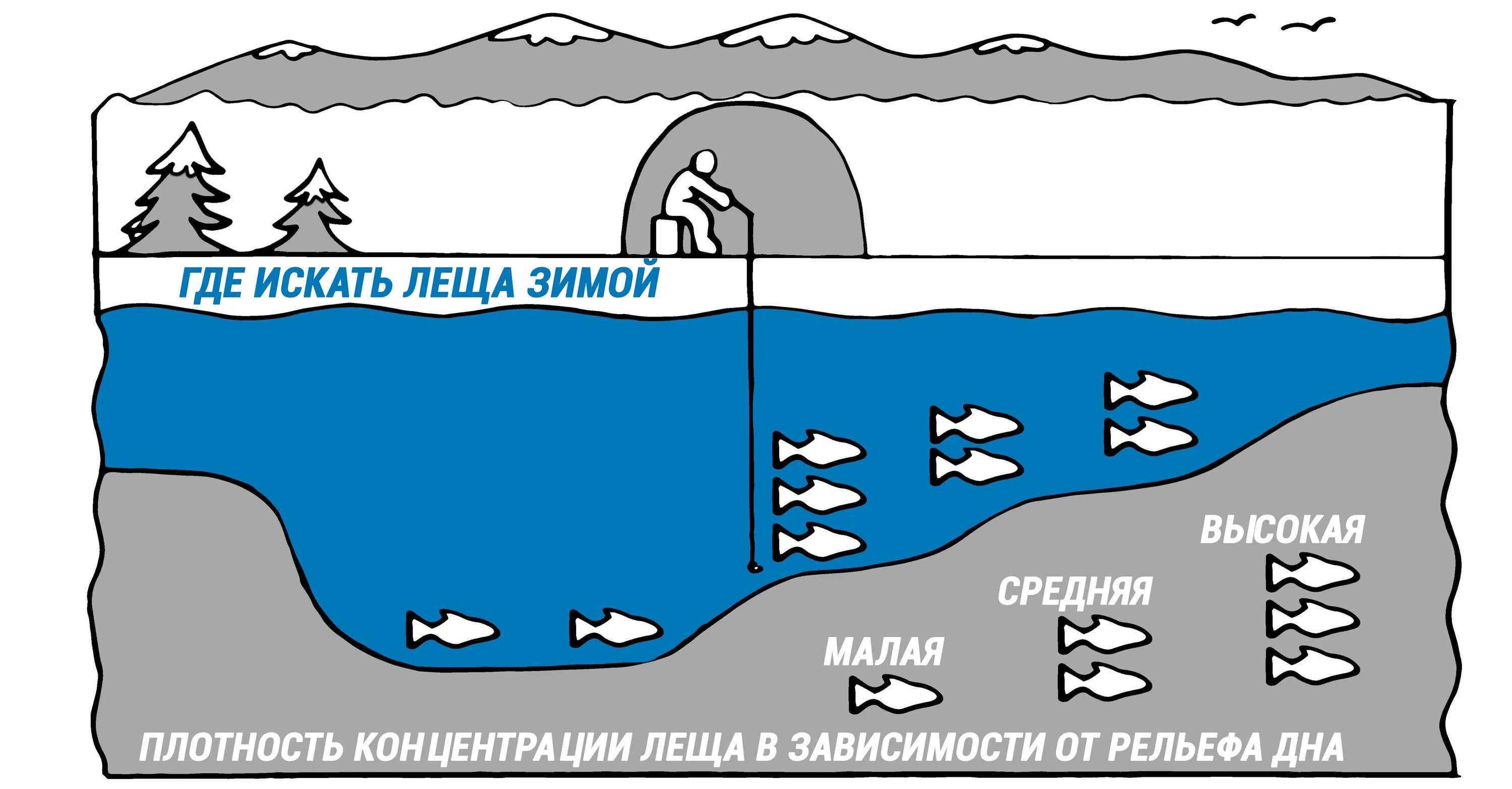 Где леща зимой. Стоянки леща зимой на реке с течением. Стоянка леща зимой на реке. Место стоянки леща зимой на водохранилище. Стоянки леща зимой.