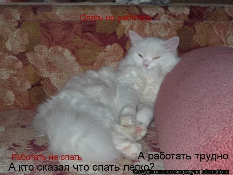 Не спи не спи работай