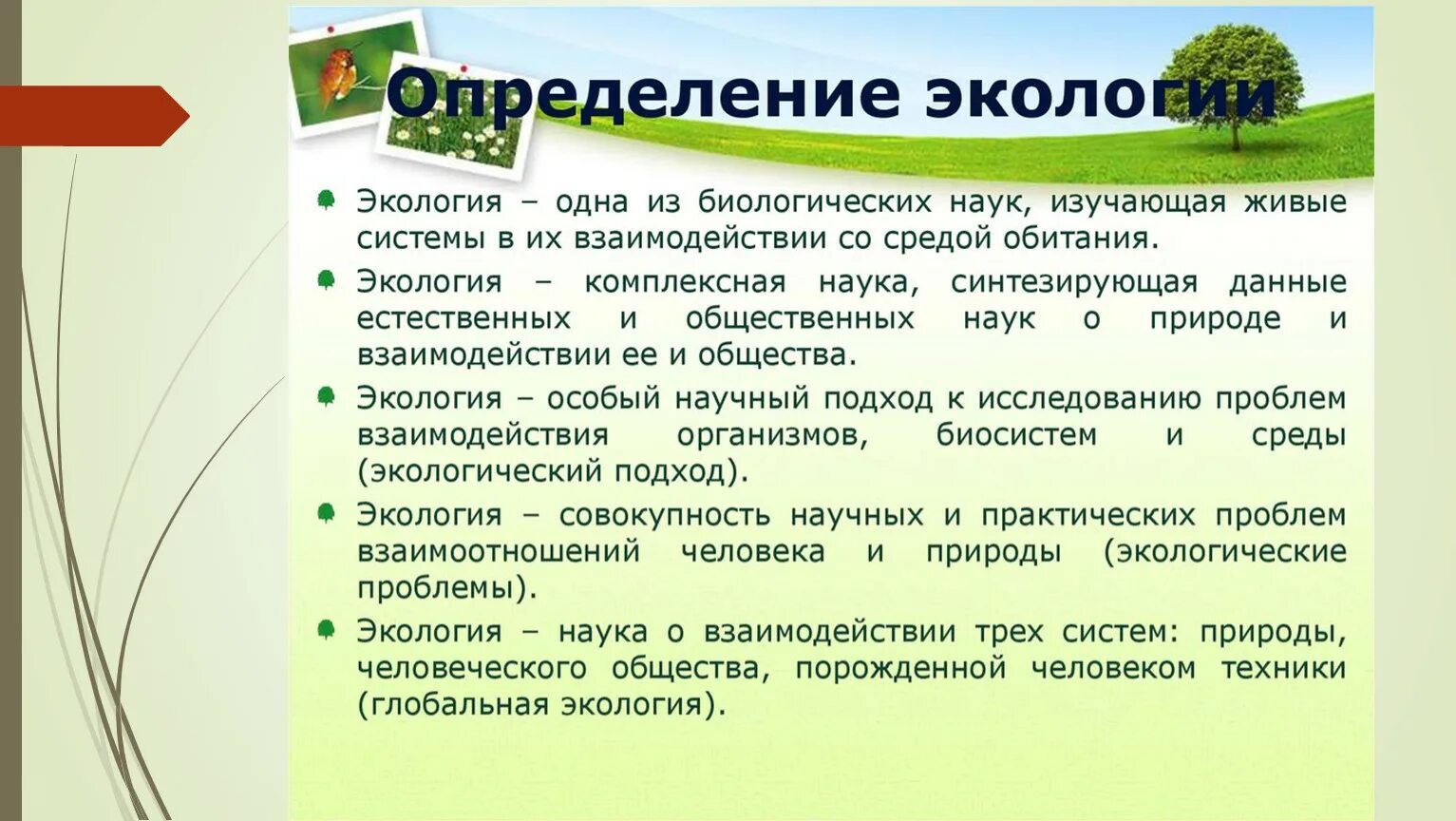 Экология определение. Экология это в обществознании. Понятие экология. Экология определение в биологии.