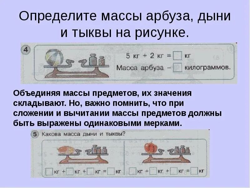 Определение массы животных. Масса определение. масса тыквы. определи массу предметов. определи массу по весам.