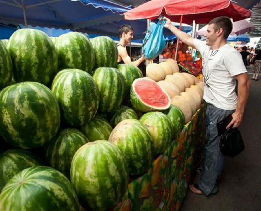 Арбуз купить рынок. Арбузы на рынке. Арбузный рынок. Арбуз Астраханский. Арбуз на ярмарку.