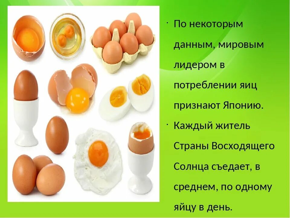 Всемирный день яйца. Информация о куриных яйцах. Интересные факты о яйцах куриных. Яички стих