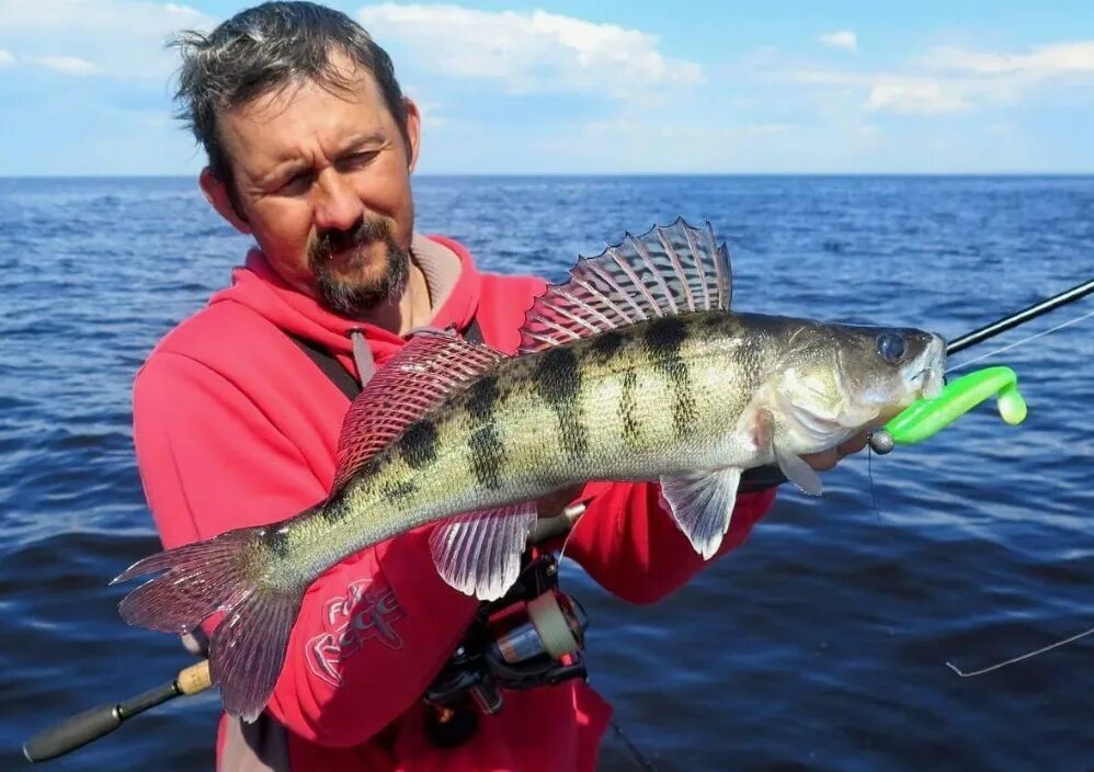 Красноглазка по ново-зеландски - рецепты с фото на vpuzo.com