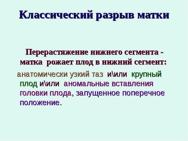Сегмент матки. Сегмент матки