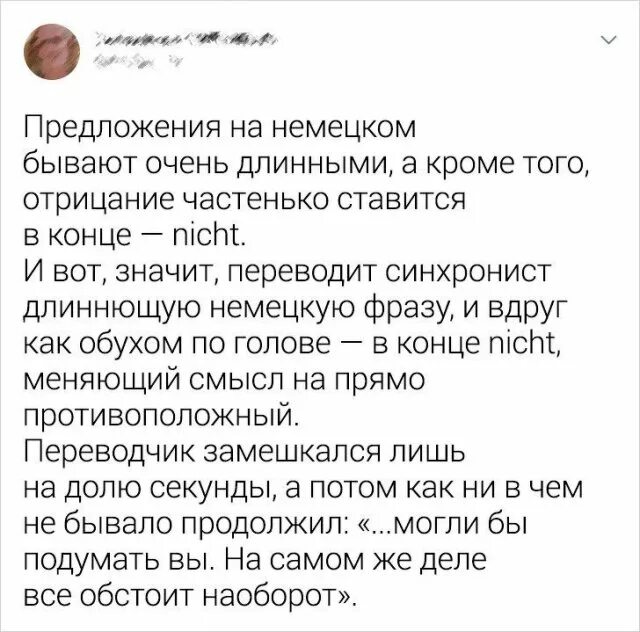 Wit что значит. Аттайибээт перевод что означает. LUVOCADO что значит перевод. Аттайибээт перевод. Олес Еник Кусин что означает.