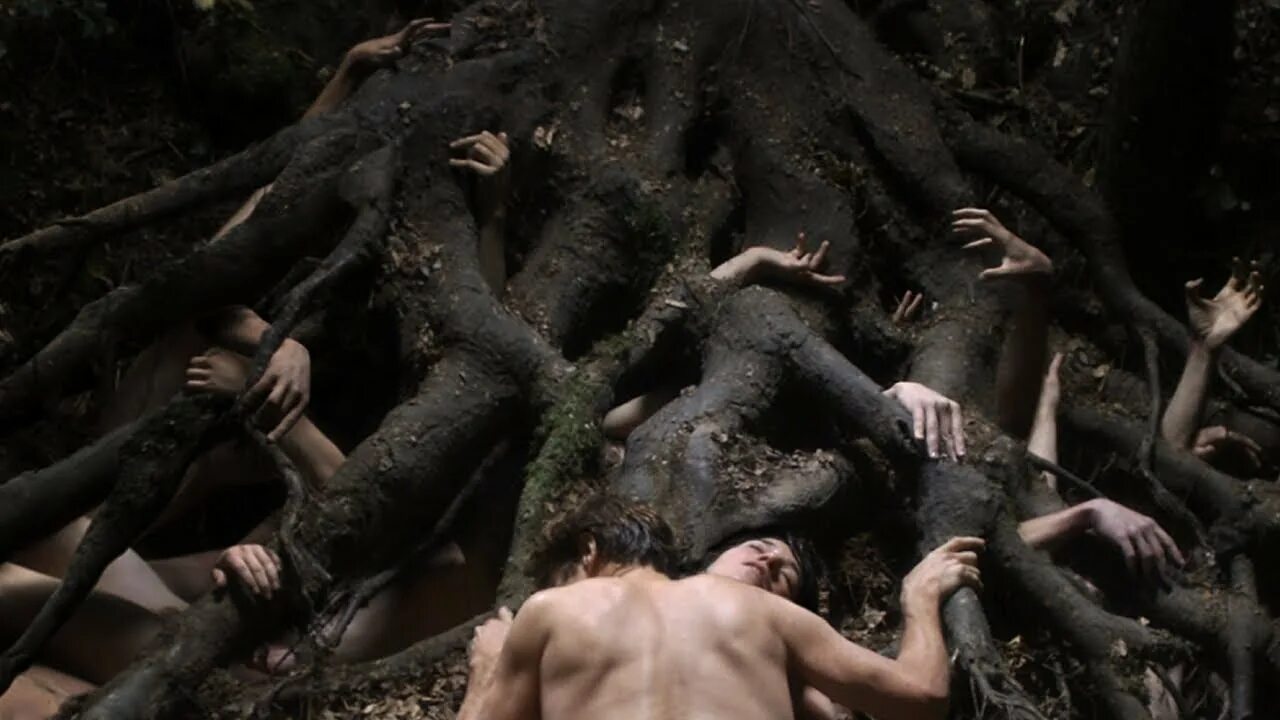 В лесу не сношаться 2016 фильм. Нимфоманка в лесу. Нимфоманка в лесу. Антихрист 2009. Ларс фон триер, 2009.