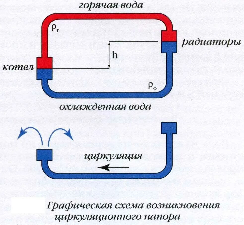 Работа потока воды. Схема циркуляции воды в системе отопления батарея. Схемы отопления по способу циркуляции воды. Система отопления без циркуляционного насоса схема. Циркуляция жидкости в системе отопления схема.