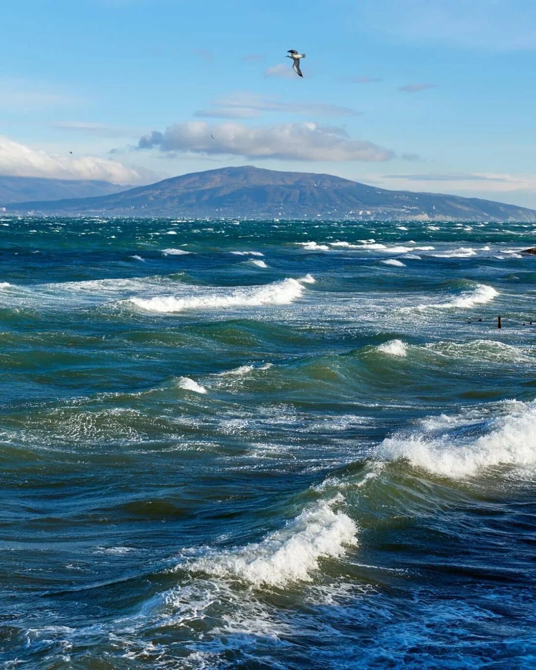 Новороссийск novorossiysk море. Новороссийск. Новороссийск море. Новороссийск, чёрное море, Краснодарский край.