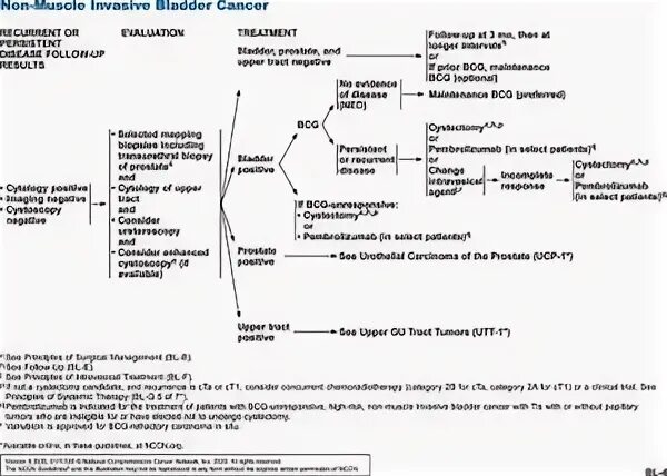 Nccn guidelines cancer. Nccn цианогенде. nccn фильтра. carcinoma in situ in bladder. melanoma nccn guidelines 2025.