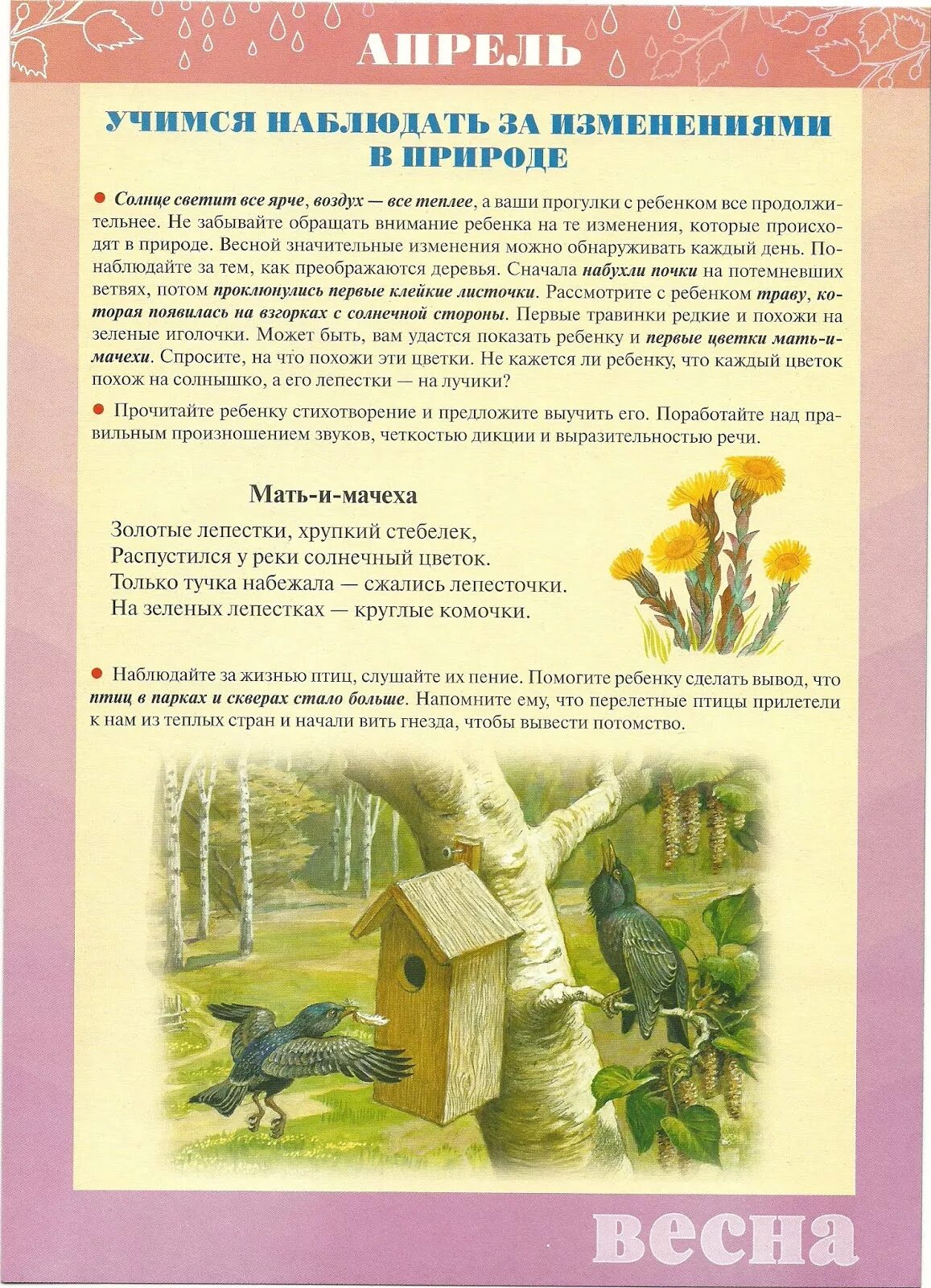 Календарь природы. Таблица наблюдения за погодой детский сад. Наблюдение за месяцем. Дневник наблюдений. Календарь наблюдений.