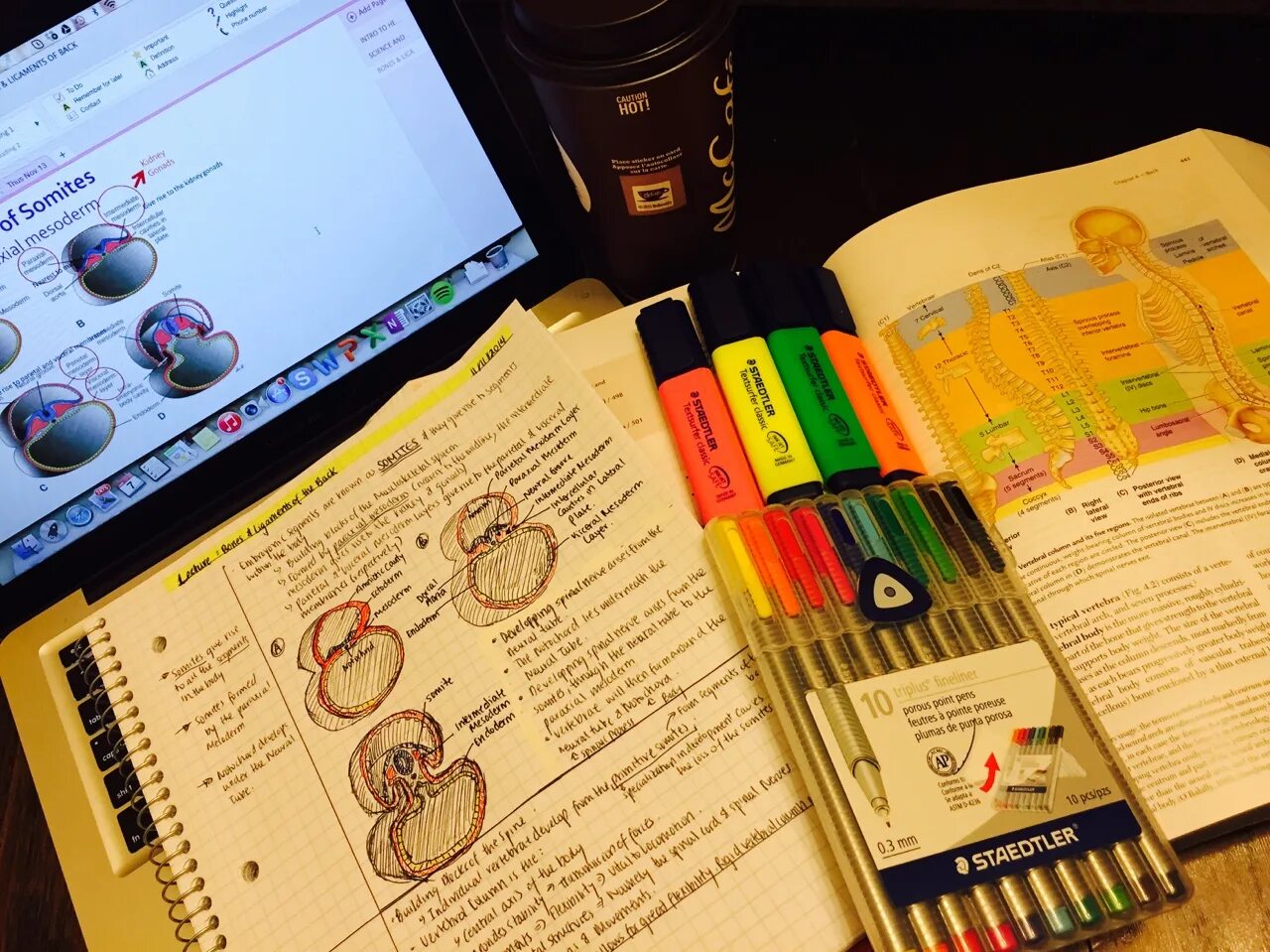 Study with