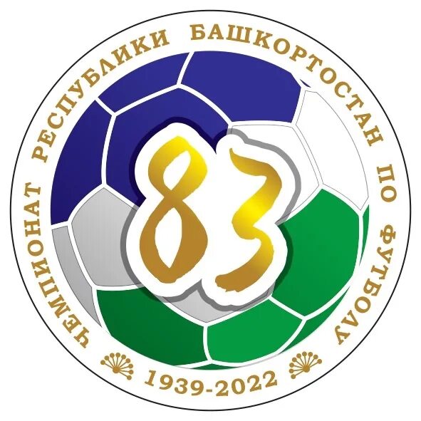 Башкортостан 2025. Федерация футбола республики башкортостан. первенство башкирии по футболу 2025. уфимский футбол. октябрьский мини футбол.