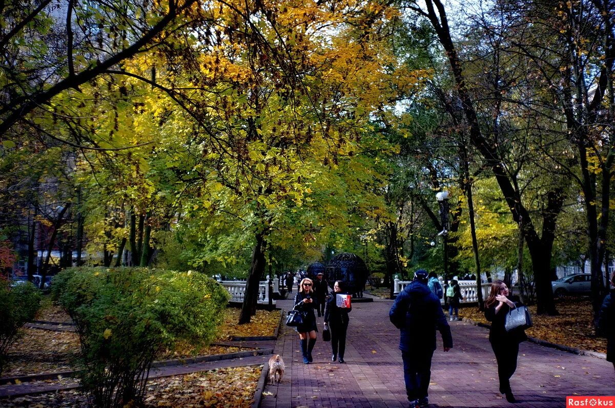 чистый город ростов на дону на пушкинской. пушкинский бульвар ростов на дону. чистый город ростов-на-дону официальный сайт. компания чистый город. пушкинская ростов на дону эстетика.