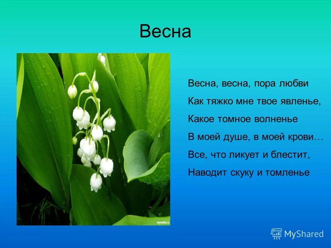 Красивый стих 4 строчки. Стих про весну. Короткое стихотворение про весну. Стихотворение о весне. Стихи про весну короткие.