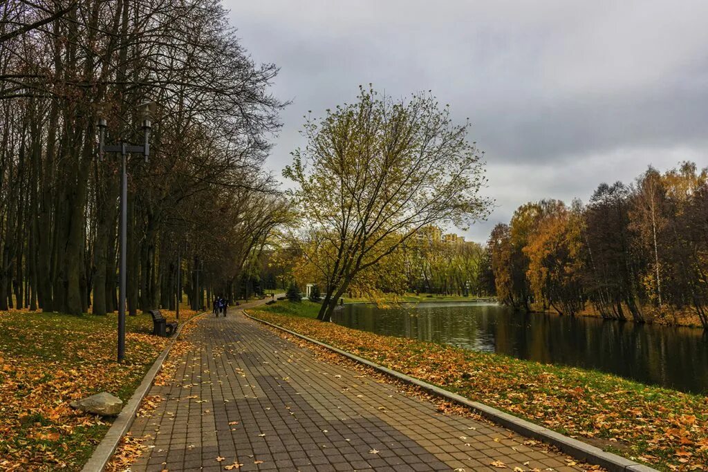 парк нескучный сад в москве. парк царицыно осенью. лесопарк мытищи. коломенское золотая осень. осенний парк москва.