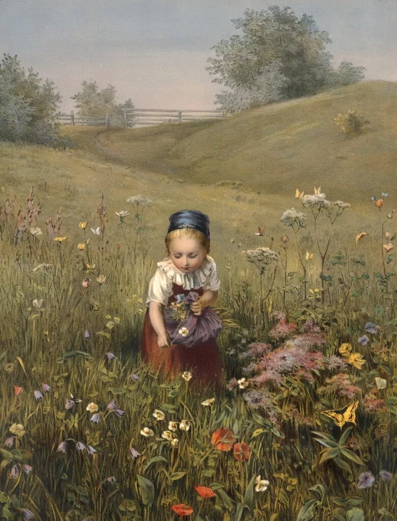 Девочка собирающая в поле. Дети и природа. Девочка собирающая в поле. Девочка в поле цветов. Daniel ridgway knight картины.