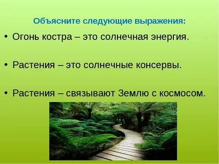Словосочетание каменный