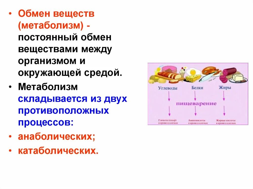 Обмен жизни и среда. Назовите основные процессы обмена веществ в организме человека. Обмен веществ между организмом и внешней средой. Обмен веществ и энергии между организмом и окружающей средой схема. Обмен веществ между организмом и внешней средой схема.