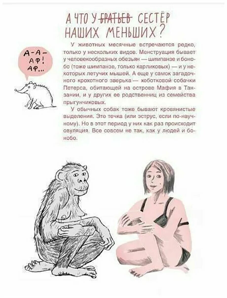 Месячные читать. Месячные твое личное приключение. книга месячные твое личное приключение. книга о месячных. элиз тьебо месячные твое личное приключение.