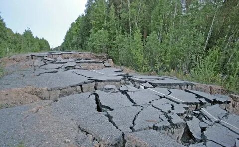Дорогими из них вторые
